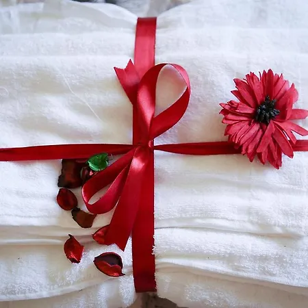 Le Magnolie Bed and Breakfast